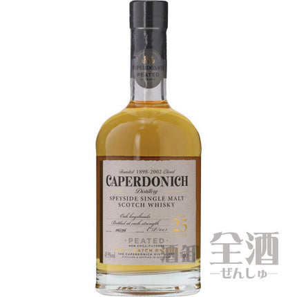 キャパドニック ピーティッド 25年