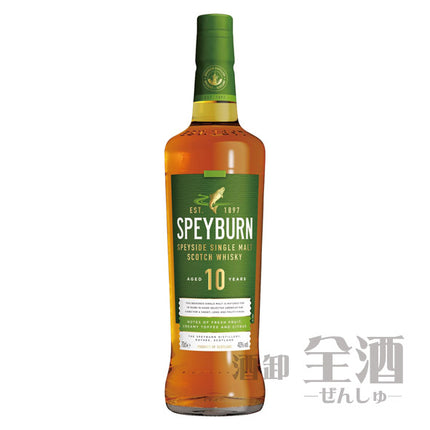 スペイバーン10年