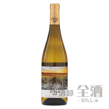 ビニャ ラストラ ソーヴィニヨンブラン