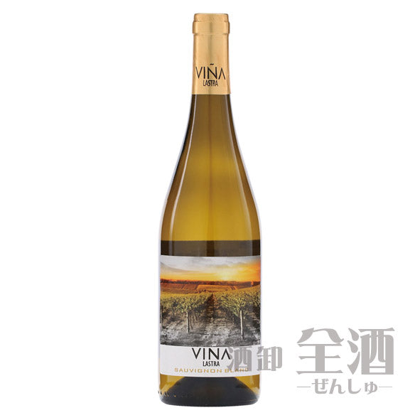 ビニャ ラストラ ソーヴィニヨンブラン