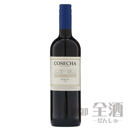 コセチャ メルロー