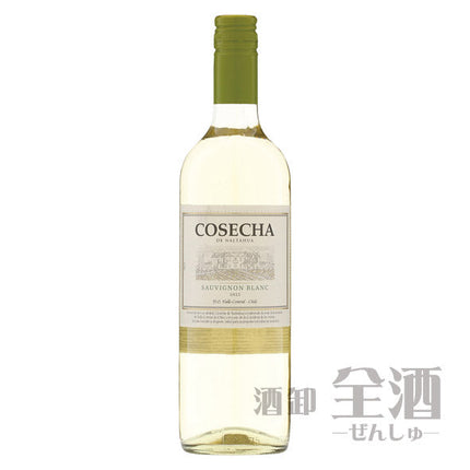 コセチャ ソーヴィニヨンブラン