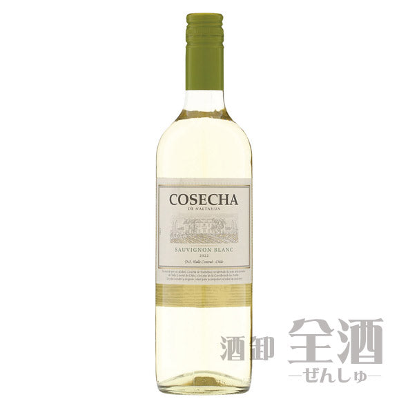 コセチャ ソーヴィニヨンブラン