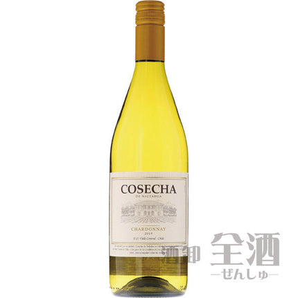 コセチャ シャルドネ