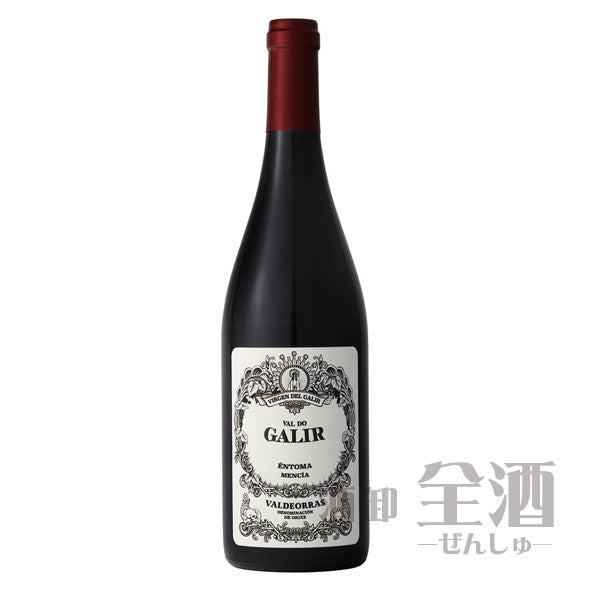 ビルヘン デル ガリル バル ド ガリル メンシア