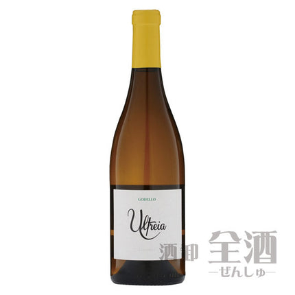 ラウル ペレス ウルトレイア ゴデーリョ