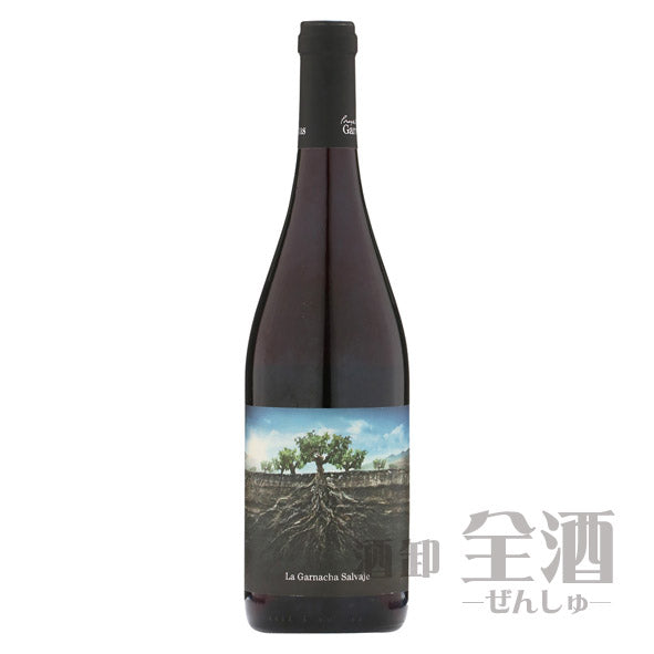 サルバヘ デ モンカヨ