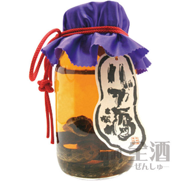 琉球の酒 ハブ入りハブ酒 35度 1800ml