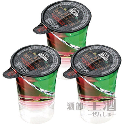 スリングショット ジン ウォーターメロン&キューカンバー(1セット)